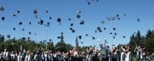 business studies essay examples a level business success