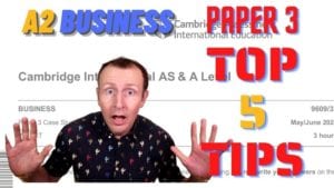 a level business essay examples